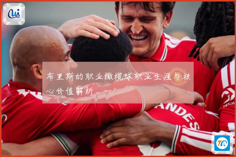 布里斯的职业橄榄球职业生涯与核心价值解析